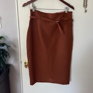 Express Pencil Skirt